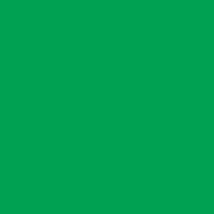 Verde Claro - REF 7021